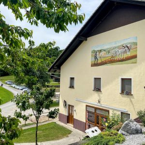 Društveni piknik DeMS 2026: poročilo s terena