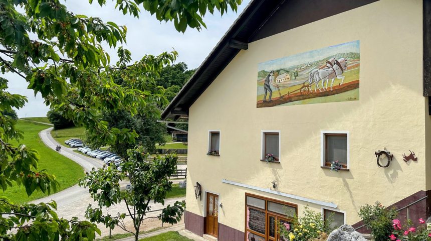 Društveni piknik DeMS 2026: poročilo s terena Društveni piknik DeMS 2026: poročilo s terena