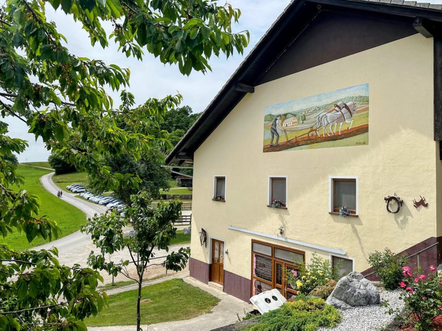 Društveni piknik DeMS 2026: poročilo s terena