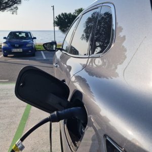 Koliko stane menjava baterije po desetih letih? Verjetno nič.